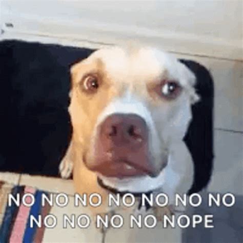 no gif|funny gif saying no.